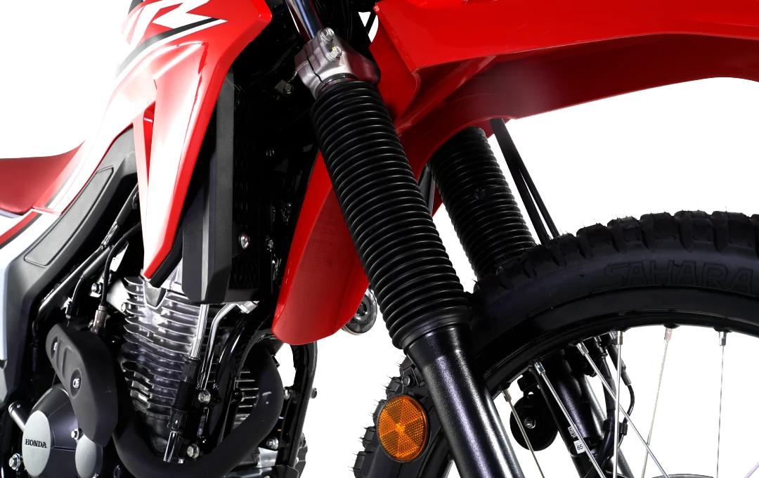 XR 300L 2025 - Image 2